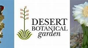 Desert Botanical Gardens VIP Pass